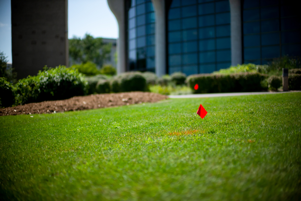 Locating,Utility,Lines,Underground,Using,Pink,Flags,In,A,Lawn